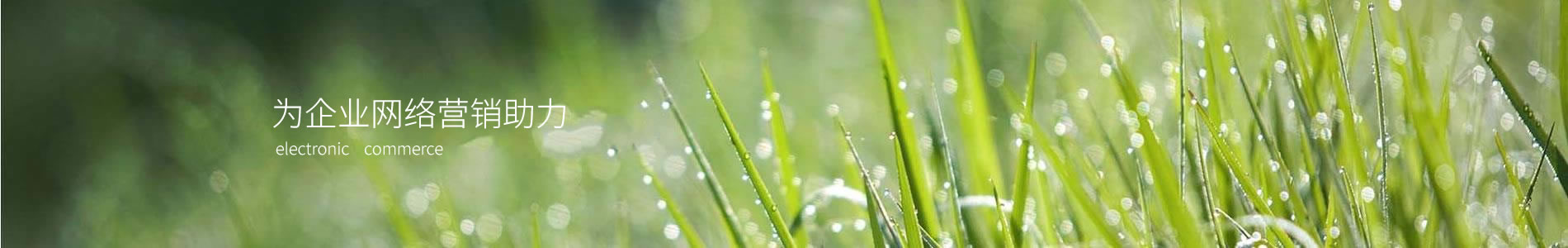 ӱǫܵƼ޹˾